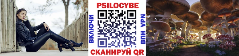 Купить  Апатиты  Галлюциногенные грибы Psilocybine cubensis 